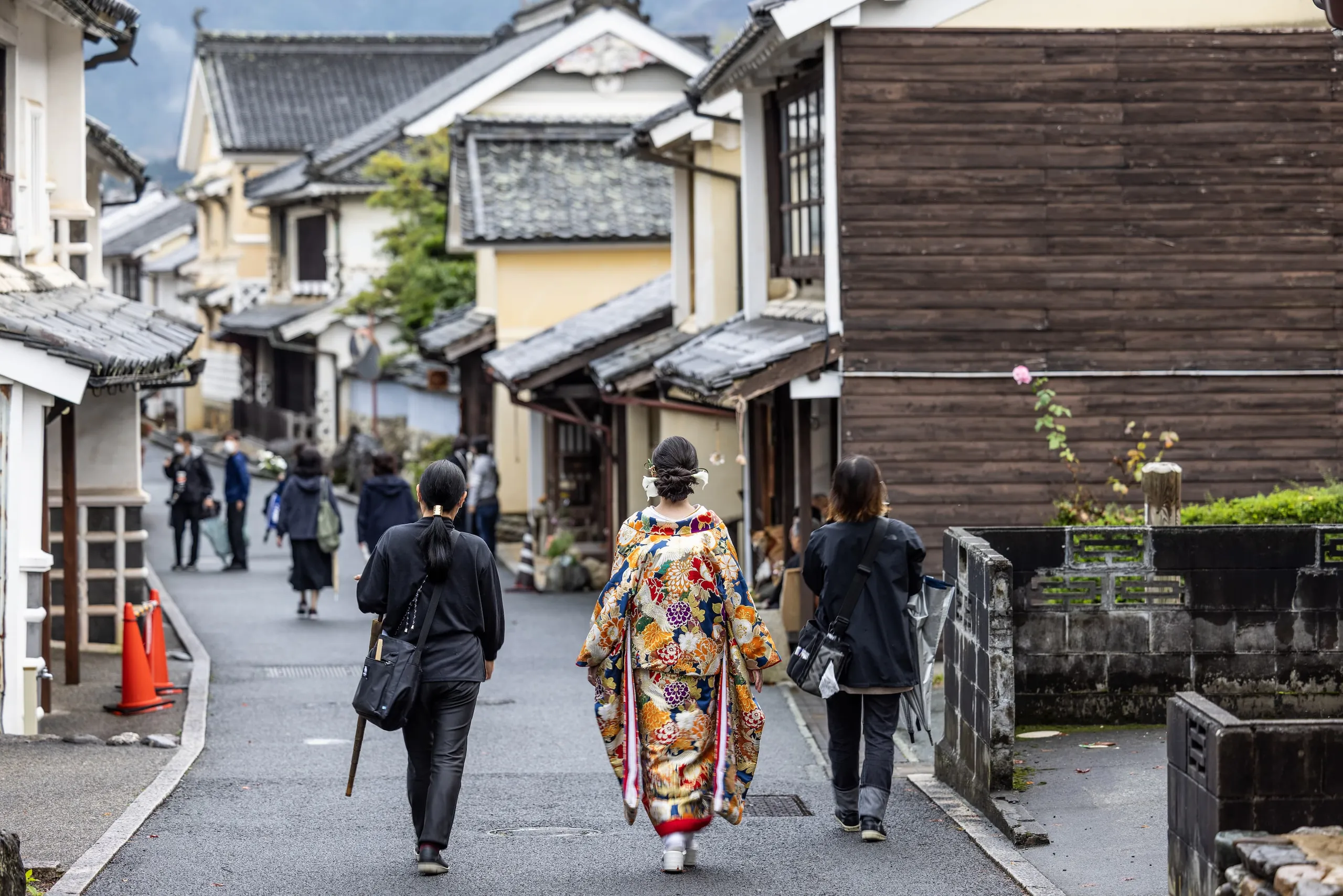 Guided Walking Tours in Japan - Private